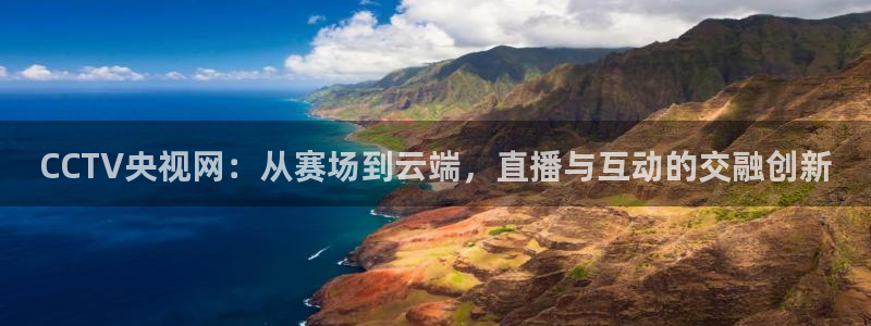 蜘蛛体育nba直播：CCTV央视网：从赛场到云端，直播与互动的交融创新
