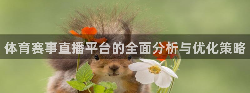 蜘蛛直播体育app