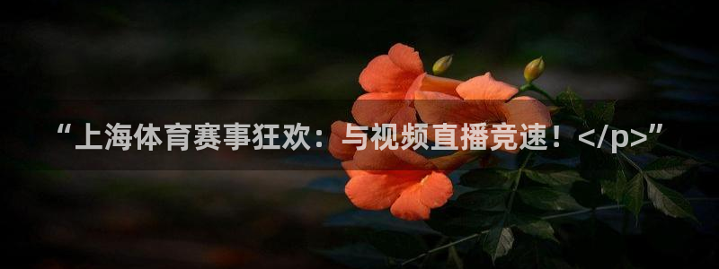 蜘蛛体育可可
