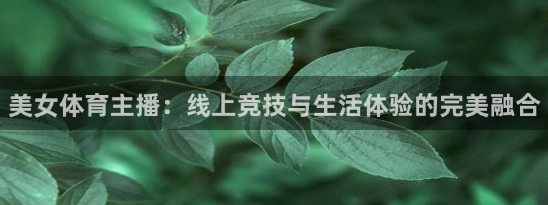 蜘蛛直播nba直播在线直播