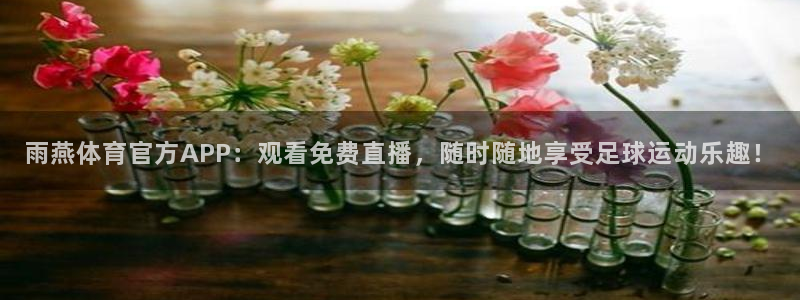 蜘蛛直播体育nba