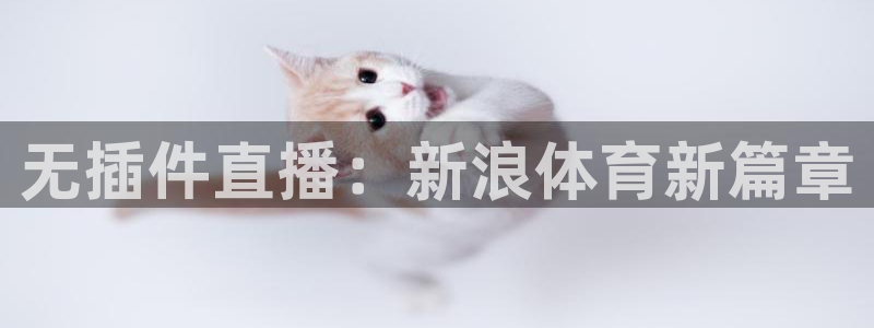 nba蜘蛛直播：无插件直播：新浪体育新篇章