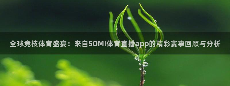 蜘蛛体育：全球竞技体育盛宴：来自SOMI体育直播app的精彩赛事回顾与分析