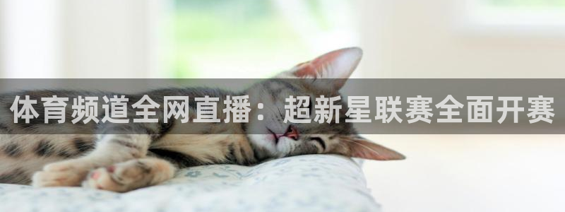 nba免费直播在线直播蜘蛛直播：体育频道全网直播：超新星联赛全面开赛