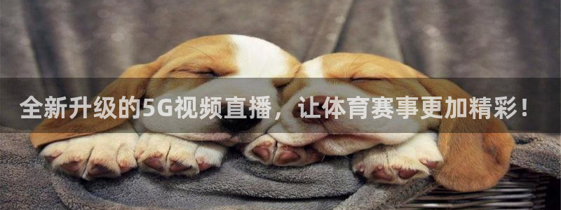 nba蜘蛛直播：全新升级的5G视频直播，让体育赛事更加精彩！