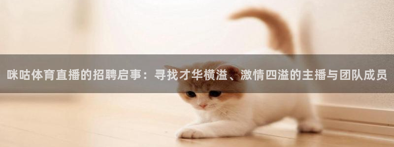蜘蛛直播nba在线观看：咪咕体育直播的招聘启事：寻找才华横溢、激情四溢的主播与团队成员