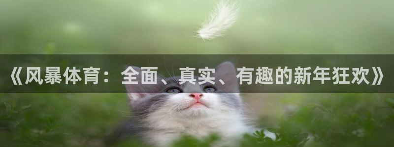 蜘蛛体育免费直播：《风暴体育：全面、真实、有趣的新年狂欢》